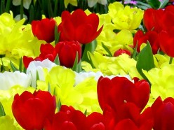 http://s4.hubimg.com/u/4155967_f248.jpg