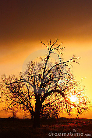 A shimmering sunrise