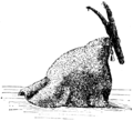 Julbock (Uppland)