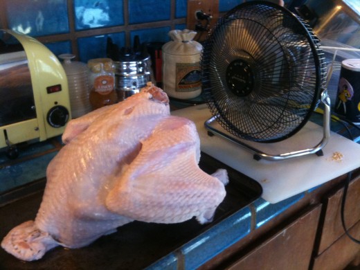 ...dry the turkey in any way possible