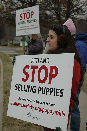 Protesters outside Petland after employee pleaded guilty for two counts of animal cruelty. 