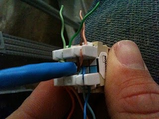 Twisted pair inserted into IDC notches on the jack.