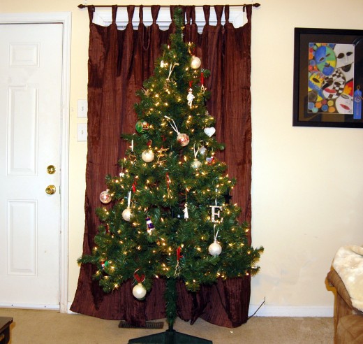 After coming home from Thanksgiving Dinner, Emily put up our Christmas tree.  Let the holiday stress begin!