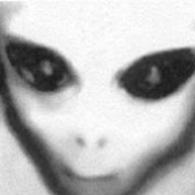 ManiacReviews420 profile image