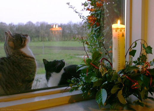 Calendar candle