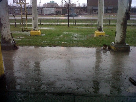 It literally rained all day long today.  It never let up. The weather man said we only got 1.3", but it sure seems like we got more.