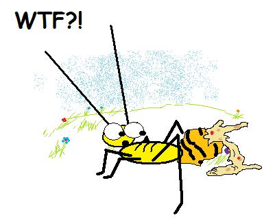 Typical bee after defending herself.