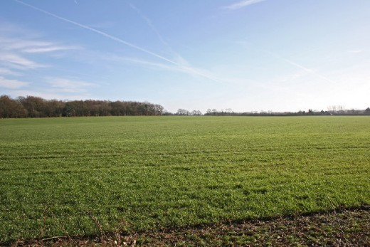 This stretch of ideal farmland will rent for a good price and also will be easily salable in the future.