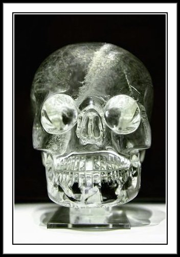 The British Museum Skull