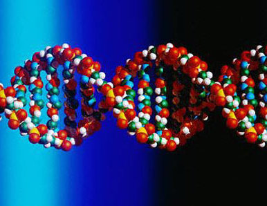 Arsenic based DNA example - click for source