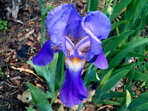Photo 4 