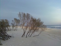 http://s4.hubimg.com/u/4209227_f248.jpg