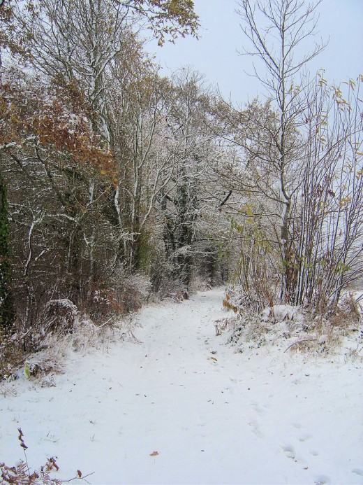 A lovely, snowy walk in Limousin