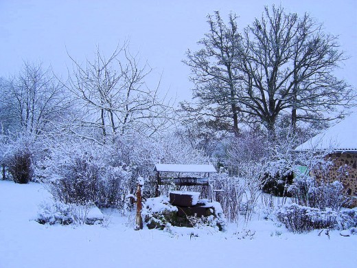 Les Trois Chenes Our well and oak trees in the snow