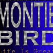 montie bird profile image