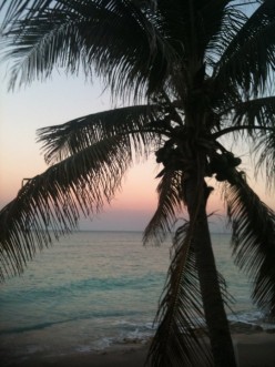 http://s3.hubimg.com/u/4214494_f248.jpg