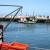 Kalk Bay fishing harbour near Cape Town. Photo Tony McGregor Kalk Bay fishing harbour near Cape Town. Photo Tony McGregor