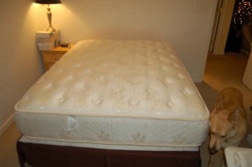 We got another new bed today since the Sleep Number bed was utter crap.  I can finally get a good nights sleep again.