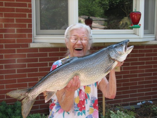 This Lake Trout looks like he will be headed for the smoker soon.