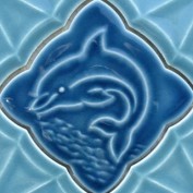 Surf Echo profile image