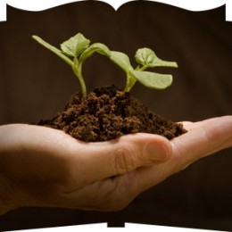 https://usercontent1.hubstatic.com/4223212_f260.jpg