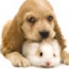 just4meonline profile image