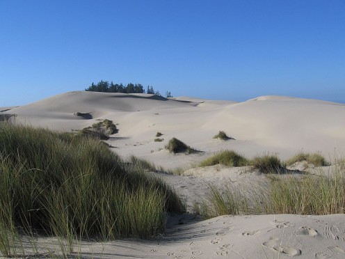 This beautiful Oregon Dunes Recreation Area is in the southern part of the Suislaw National Forest. 