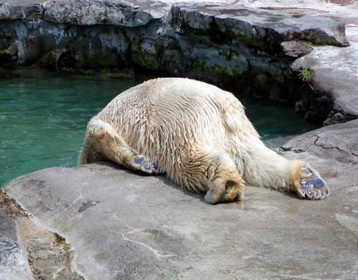 Hangover