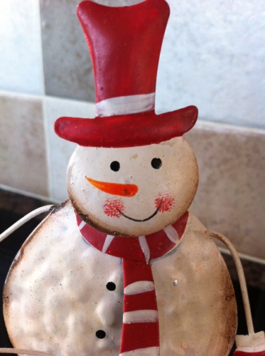 At least the snowman is happy!