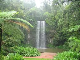Millaa Millaa Falls