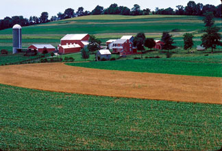 Government sometimes steps in, and we see things like farmers getting paid to not grow their crops.
