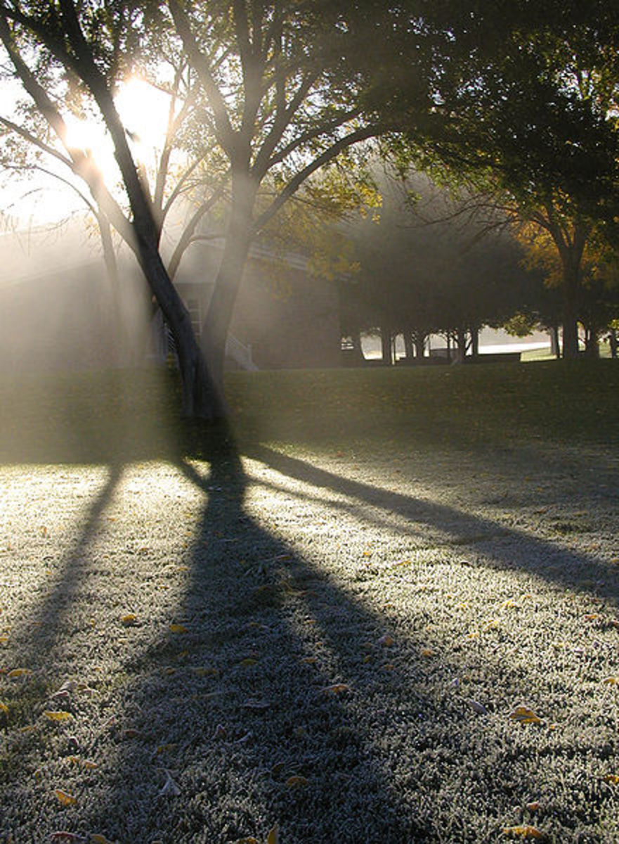 Albuquerque morning fog and dew.  Photo by Tate Strickland, courtesy photographer and Wikimedia Commons.