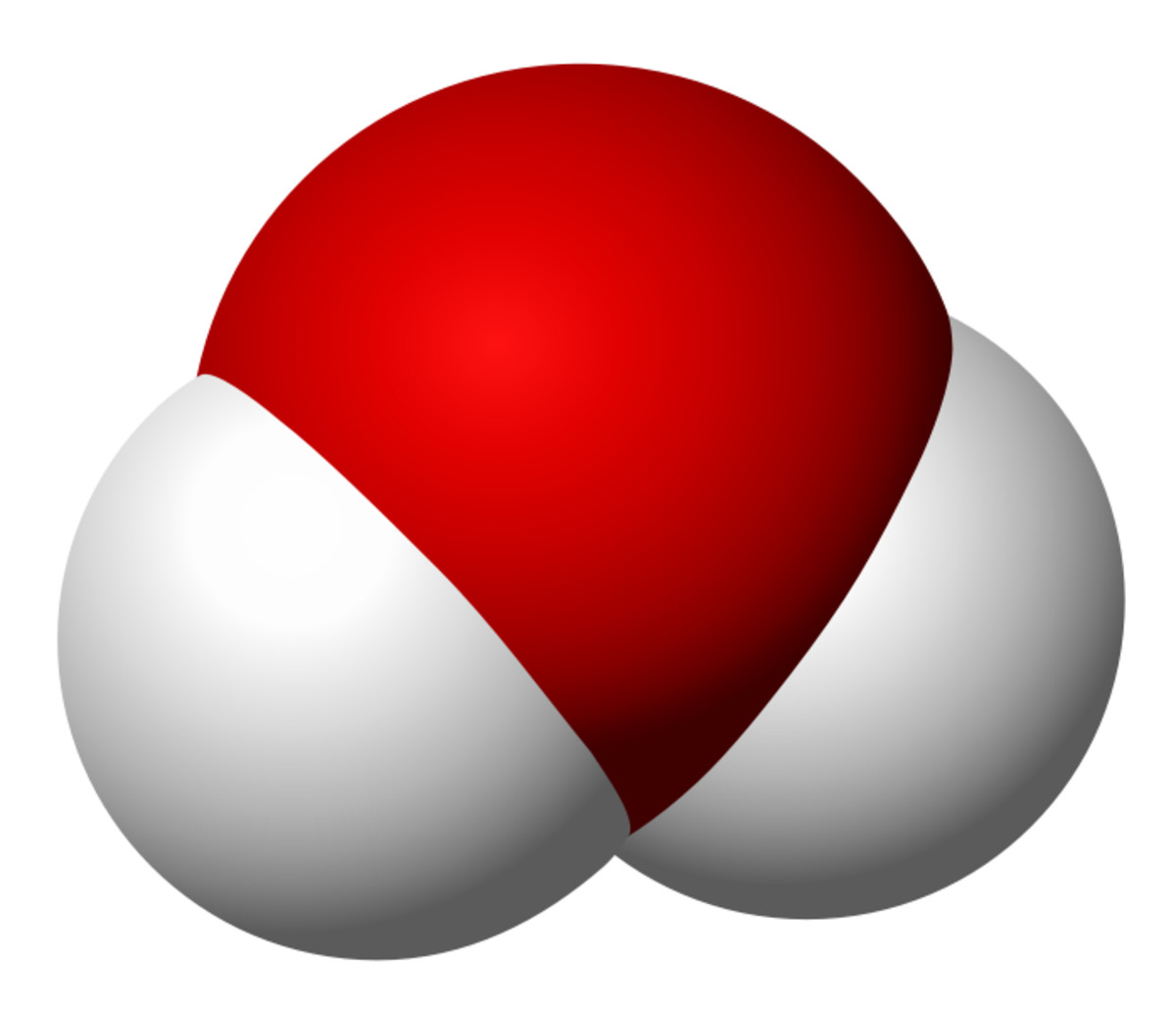 Space-filling model of water molecule.  Image courtesy dbc334 and Wikimedia Commons.