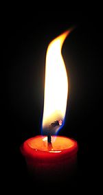 Candle of Life