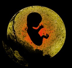 Fertility: How to Boost it!