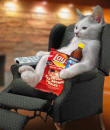 Relax & enjoy Hubpages !
