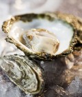 Oyster is healthy seafood and a source of Zinc.Nutrients, benefits, information, history and recipe!