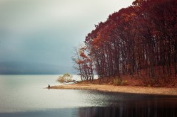 Top 10 Best High Demand Jobs in Franklin NJ - Farm and City Attractions