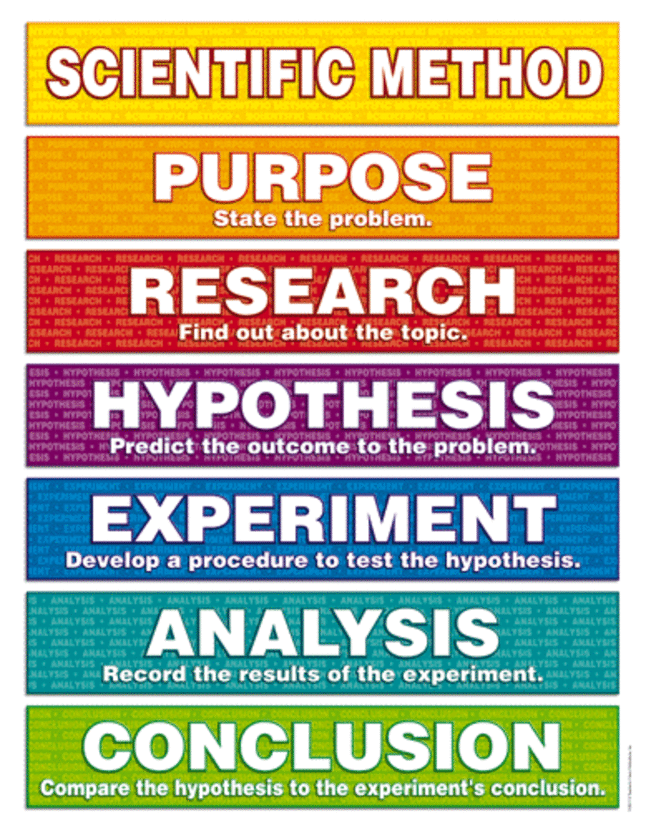 What Are The Four Steps Of The Scientific Method In Order