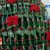 Bottles Christmas tree Courtesy : SCTV