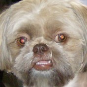 RandB profile image