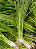 Some call them green onions, they are also known as spring onions, the blades are chopped and used as chives.