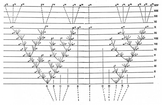 The single figure from Origin of Species, illustrating Darwin's conception of species divergence under the influence of natural selection