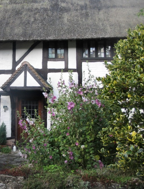 Thatched Cottage, Shottery, 9th July '07.  Copyright Tricia Mason