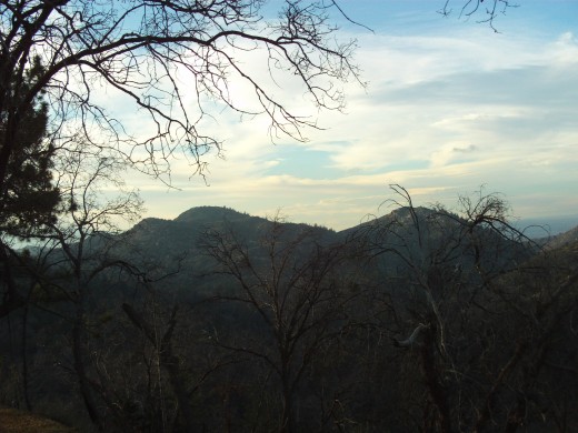 A late afternoon walk in the San Bernardino Mountains.