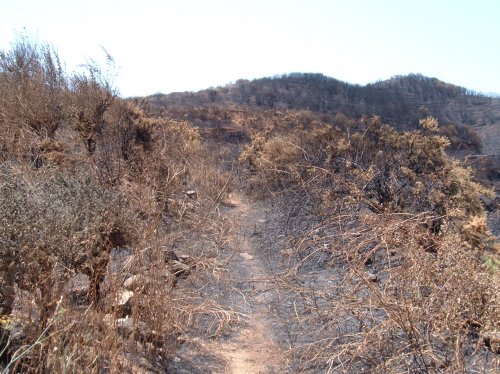 Pathway