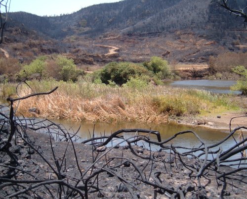 Erjos pools after the fire