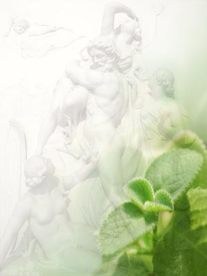 PS composition by Siu Ling Hui: Mint ( Croisy|Shutterstock.com) against marble relief of Pluto & Persephone ( Tony Baggett - Fotolia.com)
