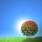 Fruits of Life profile image