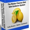 Master Cleanser profile image